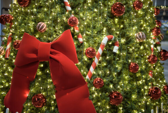 Talos Plaza Φωταγώγηση Χριστουγεννιάτικου δέντρου με το Γρηγόρη Σαμόλη